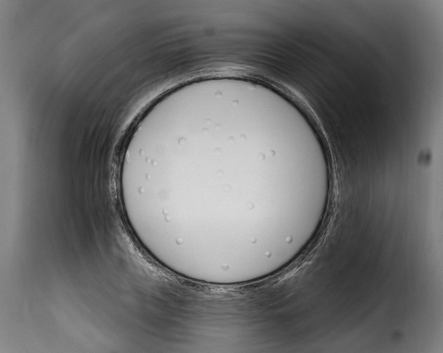 X0000115650835200911241732