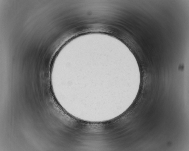 X0000115650836200911241732