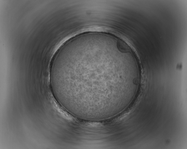 X0000115650837200911241732