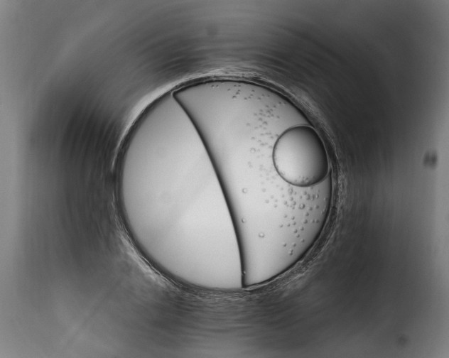 X0000115650838200911241732