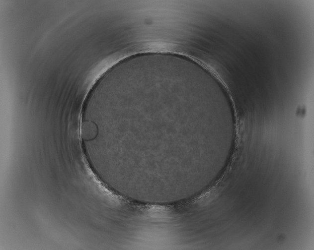 X0000115650839200911241732