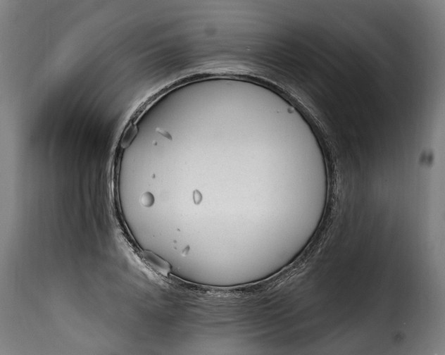 X0000115650840200911241732