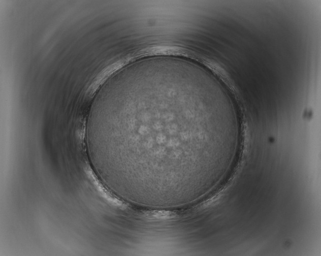 X0000115650841200911241732