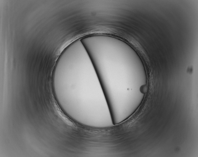 X0000115650842200911241732