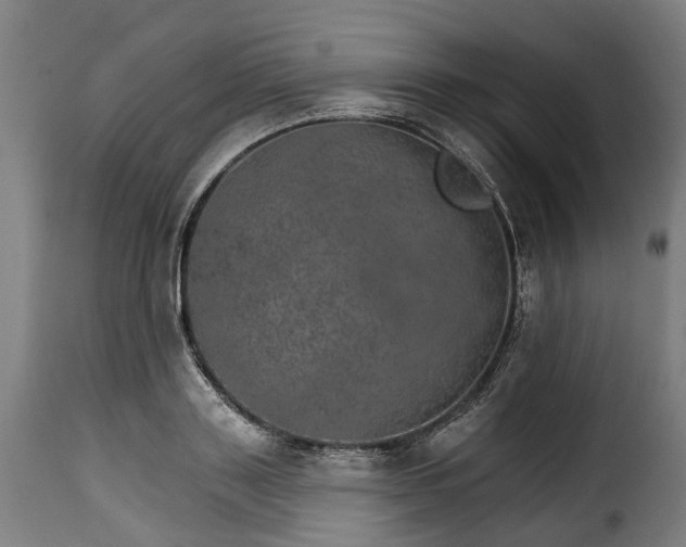 X0000115650843200911241732