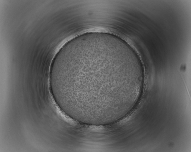 X0000115650845200911241732