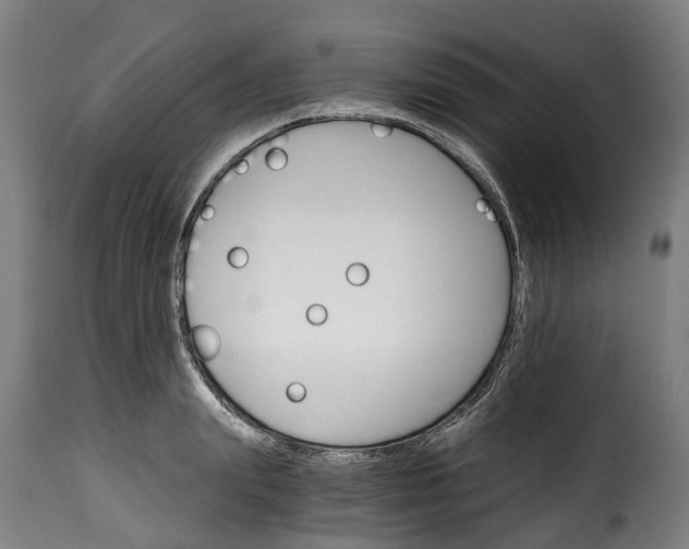 X0000115650847200911241732