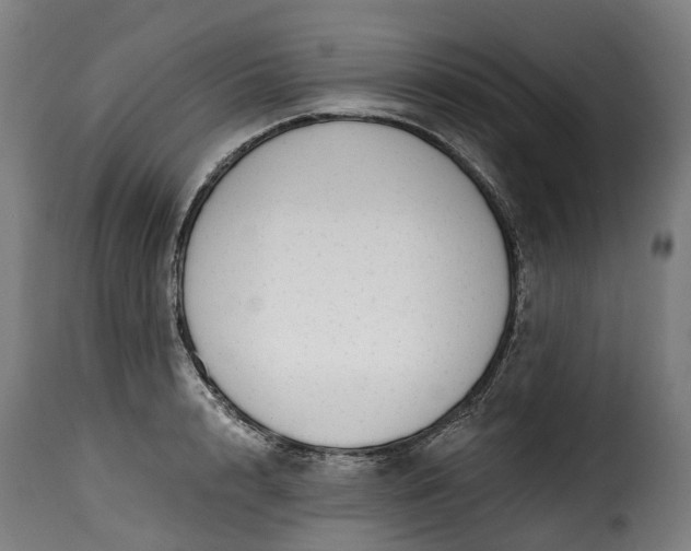 X0000115650848200911241732