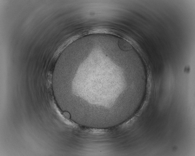 X0000115650849200911241732