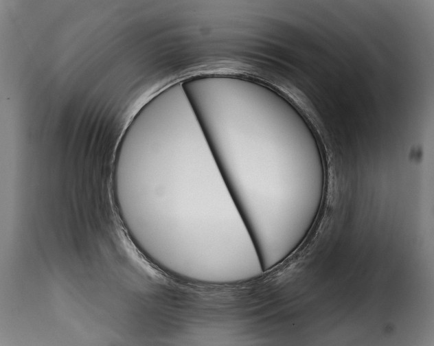 X0000115650850200911241732