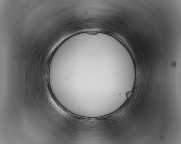 X0000115650851200911241732