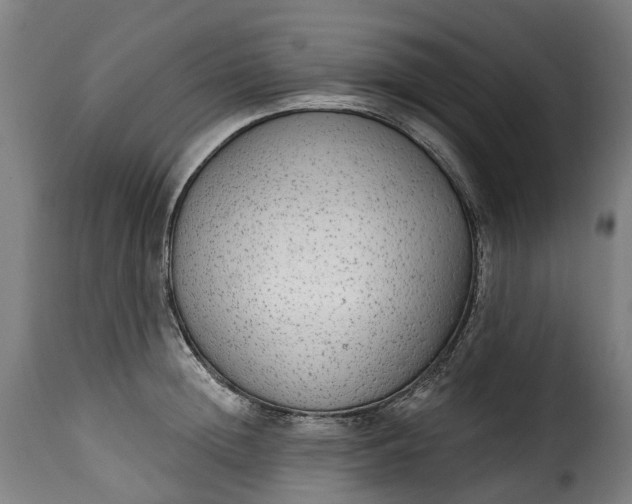 X0000115650852200911241732