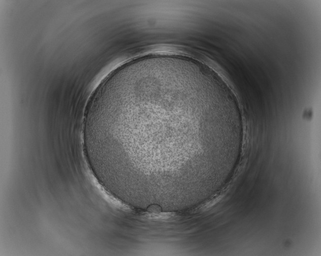 X0000115650853200911241732