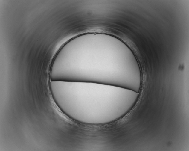 X0000115650854200911241732