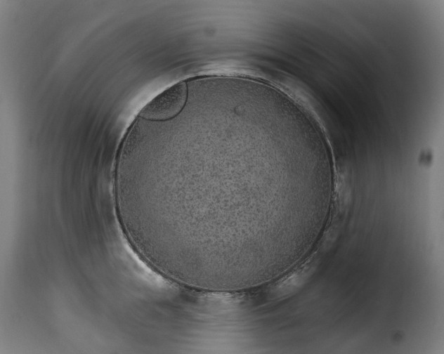 X0000115650855200911241732