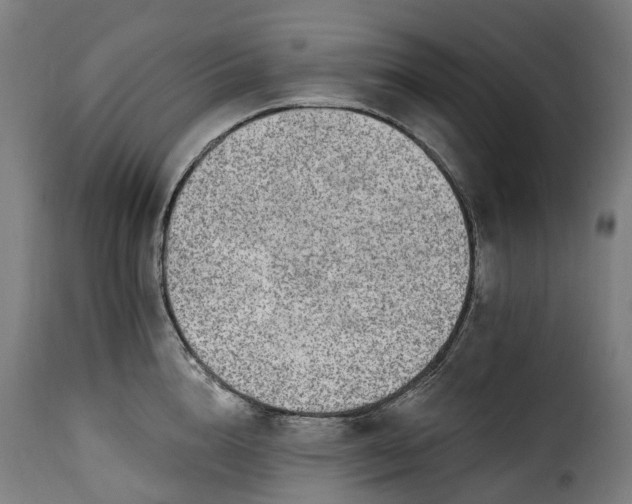 X0000115650856200911241732