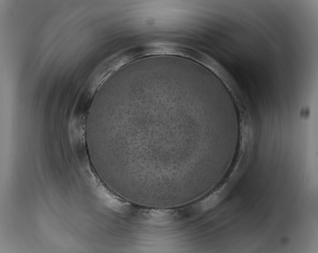 X0000115650857200911241732