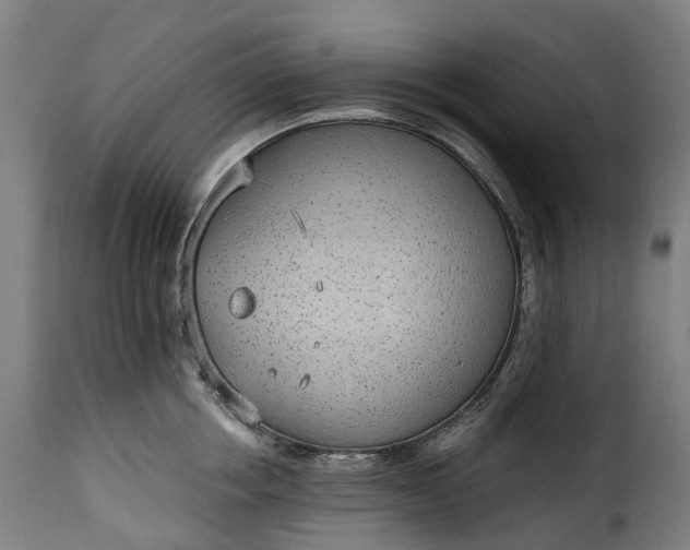 X0000115650858200911241732