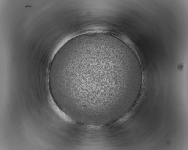 X0000115650859200911241732