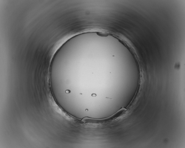 X0000115650860200911241732