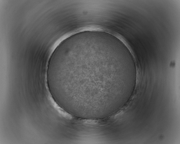 X0000115650861200911241732