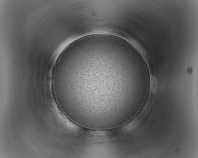 X0000115650862200911241732