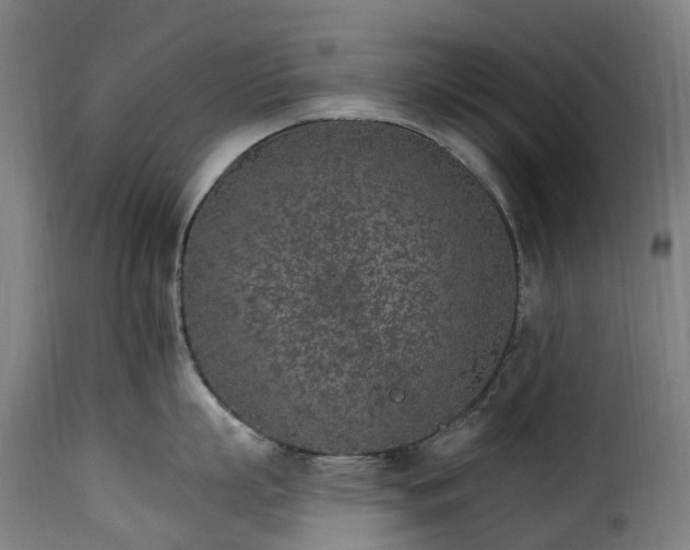 X0000115650863200911241732