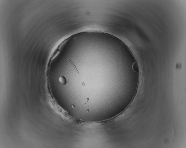 X0000115650864200911241732