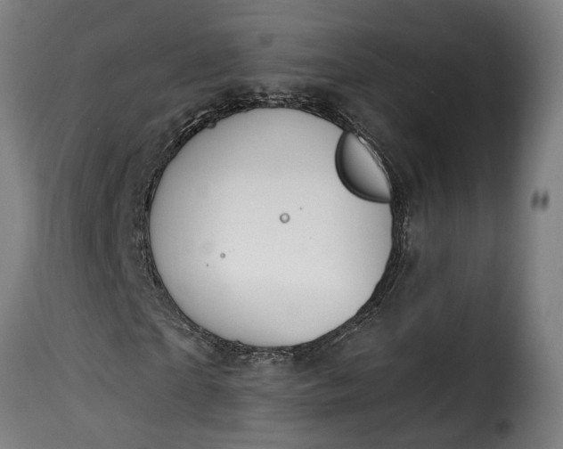 X0000115650865200911241731