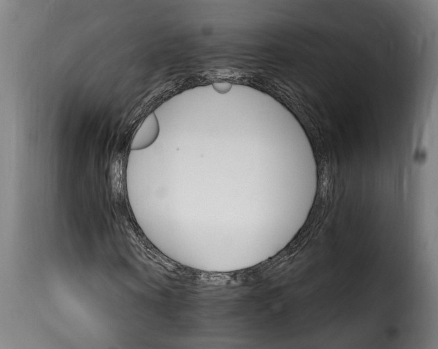 X0000115650866200911241731