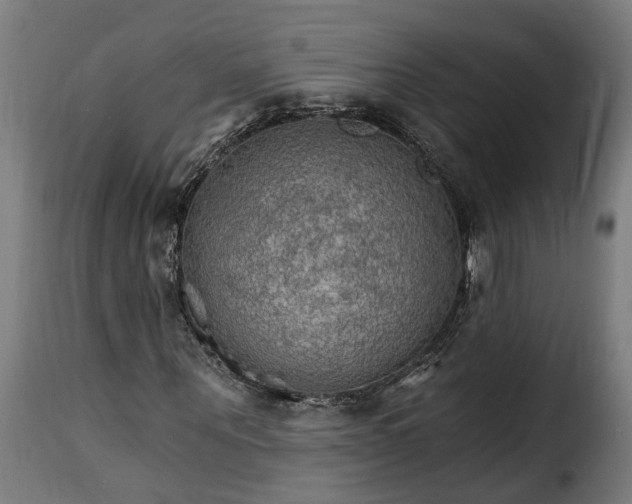 X0000115650867200911241731