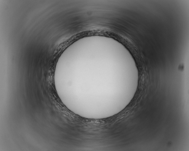 X0000115650869200911241731