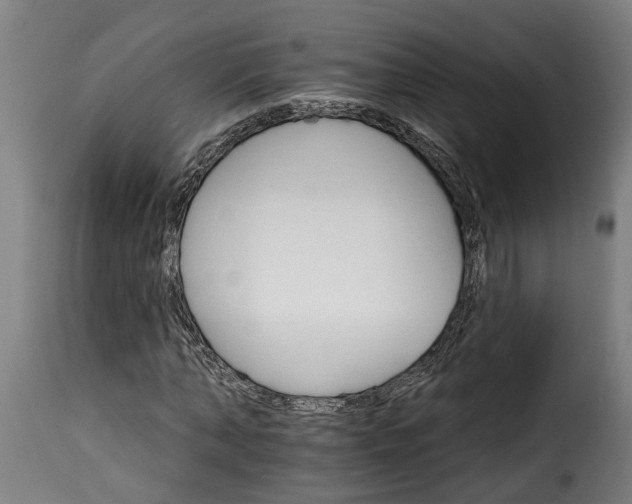 X0000115650870200911241731