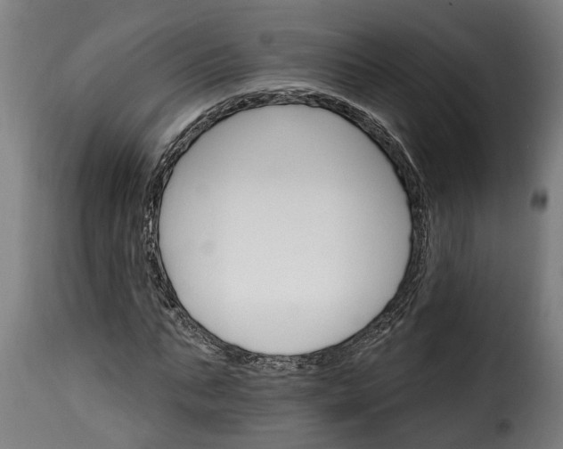 X0000115650871200911241731