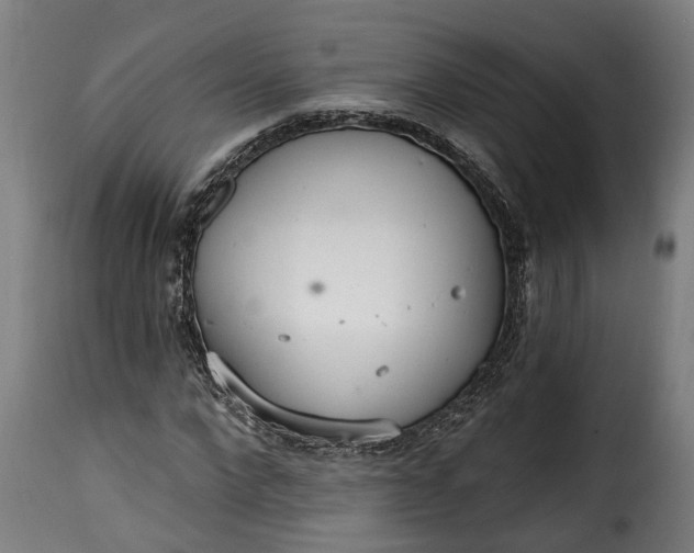 X0000115650872200911241731