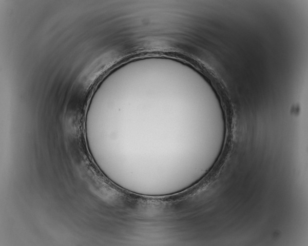 X0000115650873200911241731