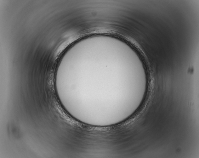 X0000115650874200911241731