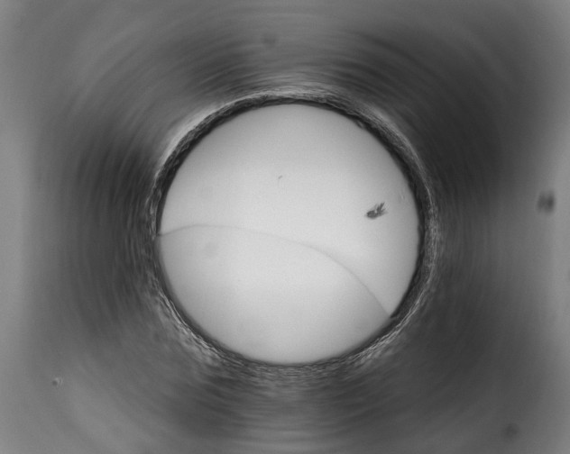 X0000115650875200911241731