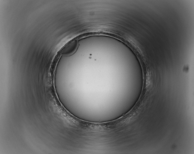 X0000115650876200911241731