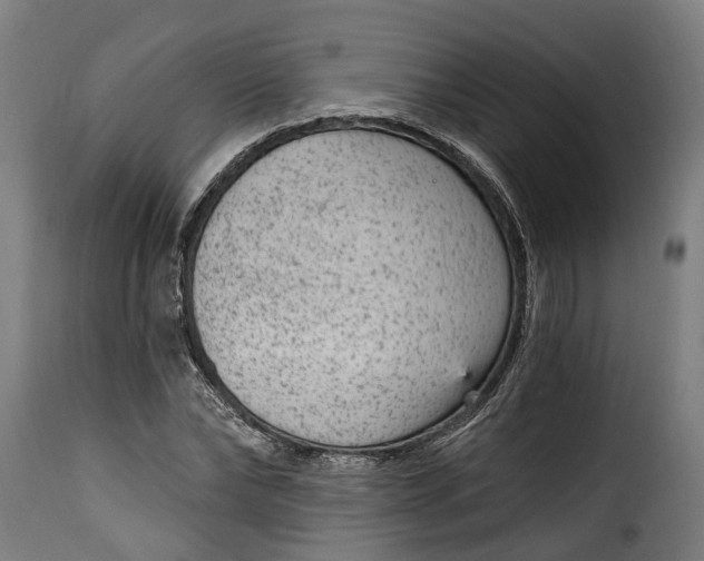 X0000115650878200911241731