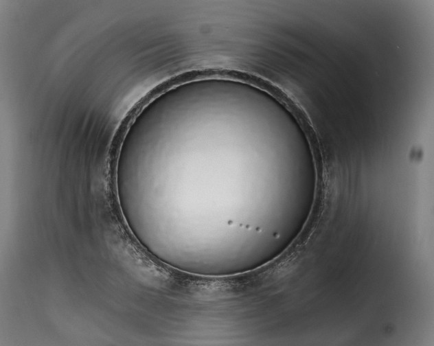 X0000115650879200911241731