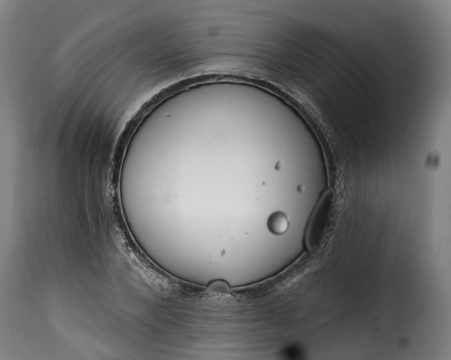 X0000115650880200911241731