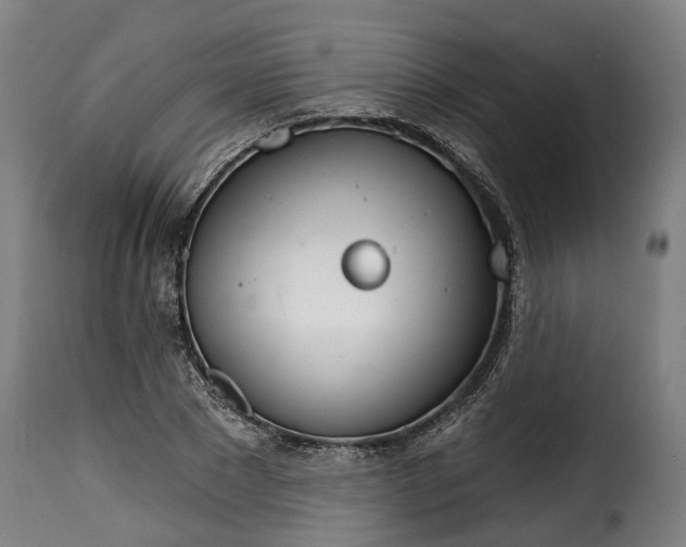 X0000115650881200911241731