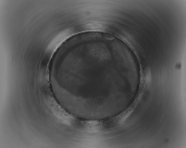 X0000115650883200911241731