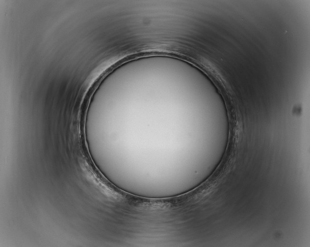 X0000115650884200911241731