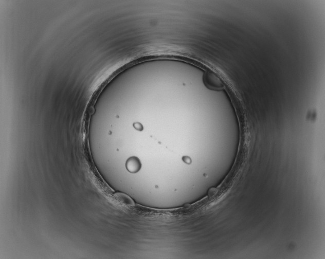 X0000115650885200911241731