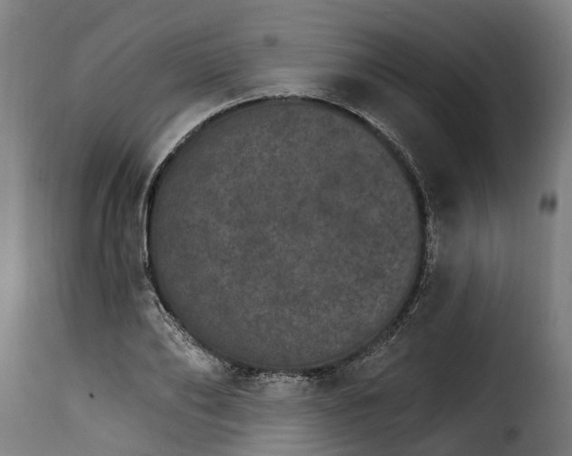 X0000115650886200911241731