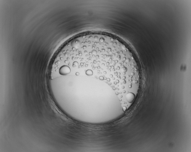 X0000115650887200911241731