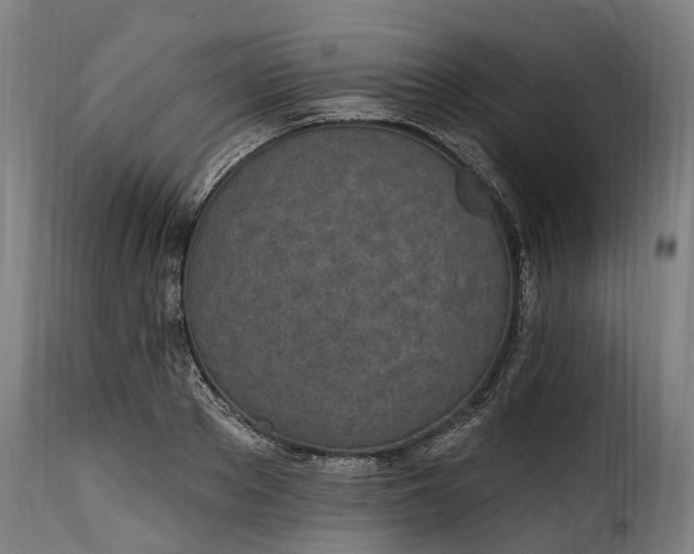 X0000115650889200911241731