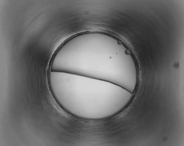 X0000115650891200911241731